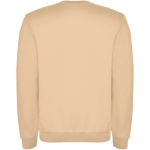 Jersey unisex de algodón y poliéster en punto 280 g/m2 Roly color beige segunda vista trasera