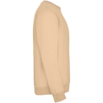 Jersey unisex de algodón y poliéster en punto 280 g/m2 Roly color beige segunda vista lateral