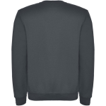 Jersey unisex de algodón y poliéster en punto 280 g/m2 Roly color gris oscuro segunda vista trasera