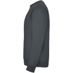 Jersey unisex de algodón y poliéster en punto 280 g/m2 Roly color gris oscuro vista lateral