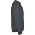 Jersey unisex de algodón y poliéster en punto 280 g/m2 Roly color gris oscuro segunda vista lateral