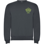 Jersey unisex de algodón y poliéster en punto 280 g/m2 Roly color gris oscuro vista impresión serigrafía