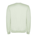 Jersey unisex de algodón y poliéster en punto 280 g/m2 Roly color verde suave segunda vista trasera