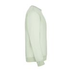 Jersey unisex de algodón y poliéster en punto 280 g/m2 Roly color verde suave tercera vista trasera