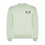 Jersey unisex de algodón y poliéster en punto 280 g/m2 Roly color verde suave vista impresión serigrafía
