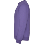Jersey unisex de algodón y poliéster en punto 280 g/m2 Roly color violeta vista lateral