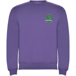 Jersey unisex de algodón y poliéster en punto 280 g/m2 Roly color violeta vista impresión serigrafía