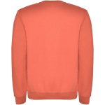 Jersey unisex de algodón y poliéster en punto 280 g/m2 Roly color naranja pastel segunda vista trasera