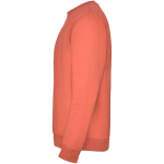 Jersey unisex de algodón y poliéster en punto 280 g/m2 Roly color naranja pastel vista lateral