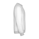 Jersey unisex de algodón y poliéster en punto 280 g/m2 Roly color gris claro segunda vista lateral