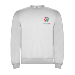 Jersey unisex de algodón y poliéster en punto 280 g/m2 Roly color gris claro vista impresión serigrafía