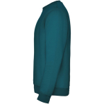 Jersey unisex de algodón y poliéster en punto 280 g/m2 Roly color azul oscuro vista lateral