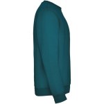 Jersey unisex de algodón y poliéster en punto 280 g/m2 Roly color azul oscuro segunda vista lateral