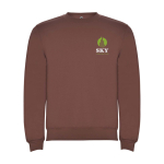 Jersey unisex de algodón y poliéster en punto 280 g/m2 Roly color marrón grisáceo vista impresión serigrafía