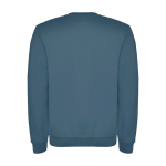 Jersey unisex de algodón y poliéster en punto 280 g/m2 Roly color azul pastel segunda vista trasera