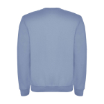 Jersey unisex de algodón y poliéster en punto 280 g/m2 Roly color azul grisáceo segunda vista trasera