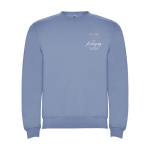 Jersey unisex de algodón y poliéster en punto 280 g/m2 Roly color azul grisáceo vista impresión serigrafía