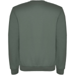 Jersey unisex de algodón y poliéster en punto 280 g/m2 Roly color verde oliva segunda vista trasera