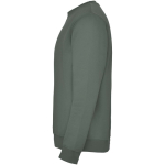 Jersey unisex de algodón y poliéster en punto 280 g/m2 Roly color verde oliva vista lateral