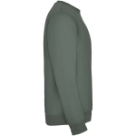 Jersey unisex de algodón y poliéster en punto 280 g/m2 Roly color verde oliva segunda vista lateral