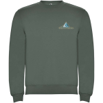 Jersey unisex de algodón y poliéster en punto 280 g/m2 Roly color verde oliva vista impresión serigrafía