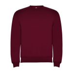 Jersey para niños de algodón y poliéster en punto 280 g/m2 Roly color burdeos