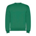 Jersey para niños de algodón y poliéster en punto 280 g/m2 Roly color verde