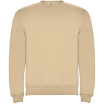 Jersey para niños de algodón y poliéster en punto 280 g/m2 Roly color beige