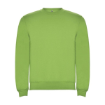 Jersey para niños de algodón y poliéster en punto 280 g/m2 Roly color verde lima