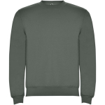 Jersey para niños de algodón y poliéster en punto 280 g/m2 Roly color verde oliva