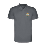 Polo técnico de poliéster en punto piqué para hombre 150 g/m2 Roly vista impresión serigrafía