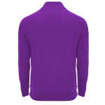 Jersey deportivo con media cremallera de poliéster 200 g/m2 Roly segunda vista trasera
