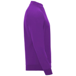 Jersey deportivo con media cremallera de poliéster 200 g/m2 Roly segunda vista lateral