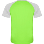 Camiseta de deportes de manga corta unisex de poliéster 140 g/m2 Roly color verde fluorescente segunda vista trasera