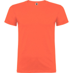 Camiseta personalizada algodón de punto liso 155 g/m2 Roly Direct Beagle color turquesa primera vista de uso