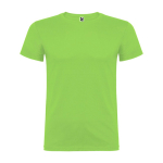 Camiseta de manga corta en algodón de punto liso 155 g/m2 Roly Direct Beagle color verde claro segunda vista