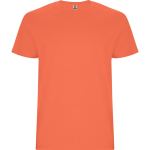 Camiseta de algodón para ferias manga corta 190 g/m2 Roly Direct Stafford color turquesa primera vista de uso