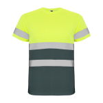 Camiseta técnica laboral de alta visibilidad 130 g/m2 Roly Delta color gris topo segunda vista