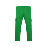 Pantalón laboral de poliéster y algodón 240 g/m2 Roly Daily color verde pasto segunda vista