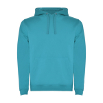 Sudadera de algodón y poliéster 280 g/m2 Roly Direct Urban color turquesa segunda vista