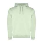 Sudadera de algodón y poliéster 280 g/m2 Roly Direct Urban color verde suave segunda vista