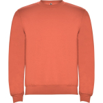 Jersey algodón y poliéster puños canalé 280 g/m2 Roly Direct Clasica color turquesa primera vista de uso