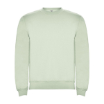 Jersey de algodón y poliéster con puños canalé 280 g/m2 Roly Direct Clasica color verde suave segunda vista