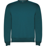Jersey algodón y poliéster puños canalé 280 g/m2 Roly Direct Clasica color azul bondi primera vista de uso