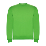 Jersey de algodón y poliéster con puños canalé 280 g/m2 Roly Direct Clasica color verde claro segunda vista