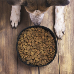 Bowl plegable de papel reciclado laminado para mascotas 1.3L color marrón claro séptima vista