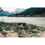 Gafas eco de sol polarizadas con protección UV400 Swiss Peak color negro