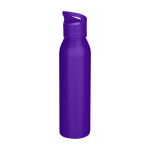 Botella de acero inoxidable reciclado de pared simple 650ml color morado