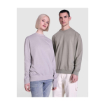 Jersey unisex de cuello redondo de algodón 250 g/m2 Roly Jaya color gris imagen de estilo de vida