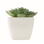 Planta artificial mini en PP forma suculenta echeveria color blanco segunda vista